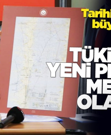 petrol8927387287235237621378