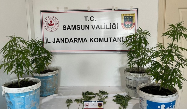 Salıpazarı’nda narkotik operasyonu: 1 gözaltı