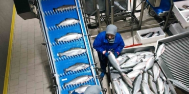 samsun-su-urunleri-ihracatinda-yukseliyor