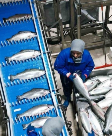 samsun-su-urunleri-ihracatinda-yukseliyor