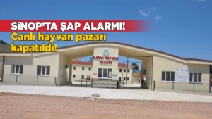 Sinop’ta şap alarmı: Hayvan pazarı kapatıldı!