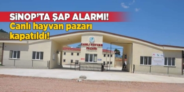 Sinop’ta şap alarmı: Hayvan pazarı kapatıldı!