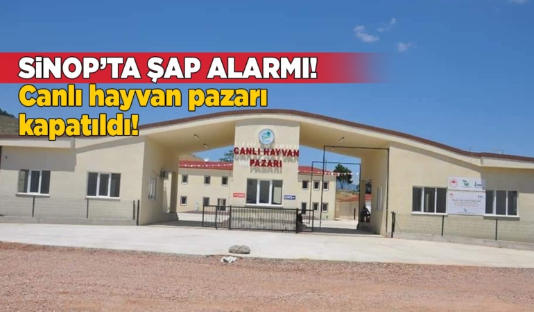 Sinop’ta şap alarmı: Hayvan pazarı kapatıldı!