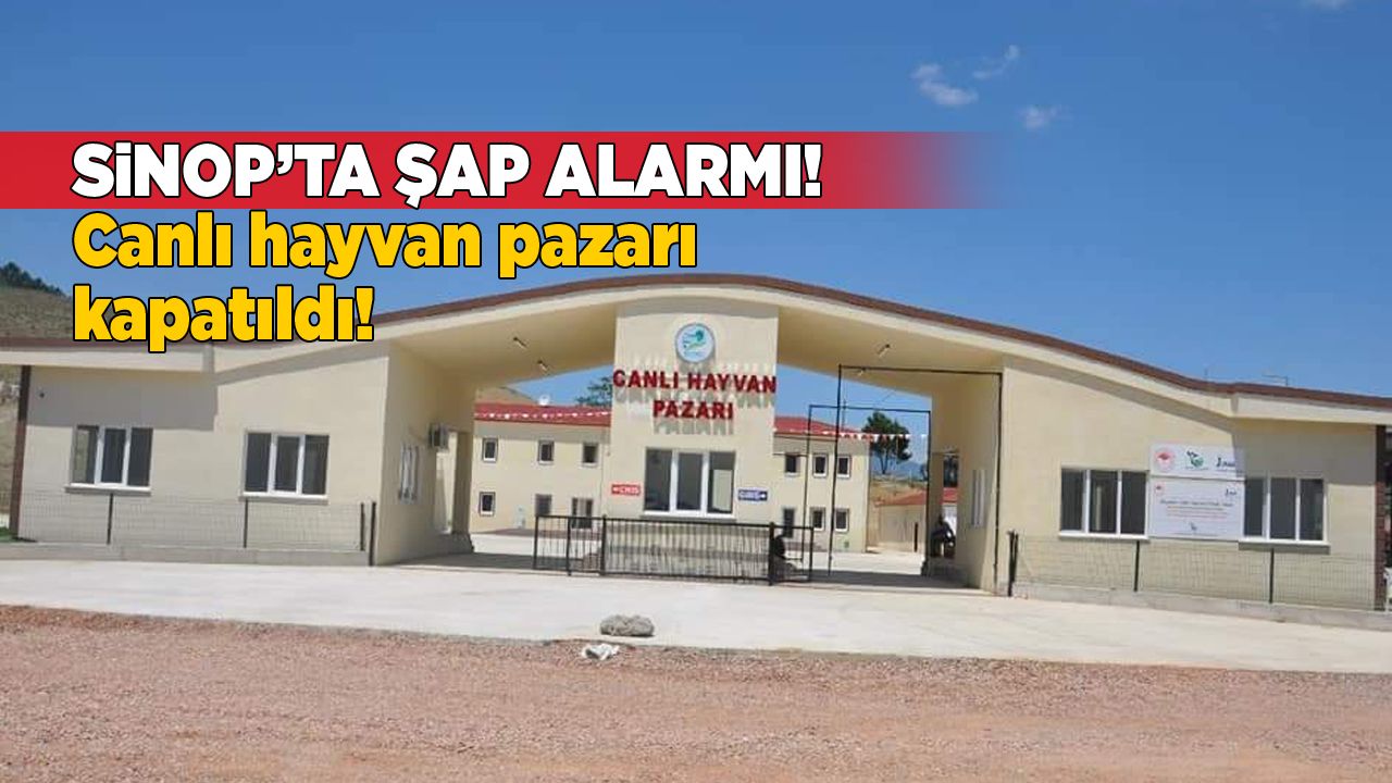 Sinop’ta şap alarmı: Hayvan pazarı kapatıldı!