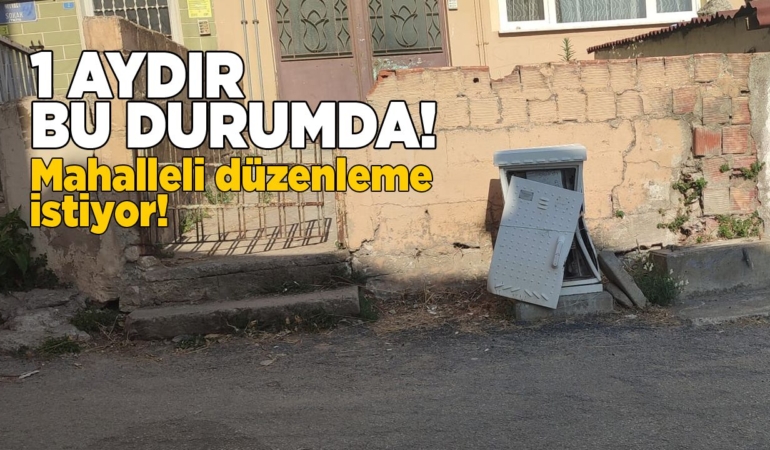 Sinop’ta internet panosuna zarar verildi