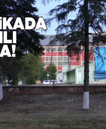 silahlikavgakastamonu