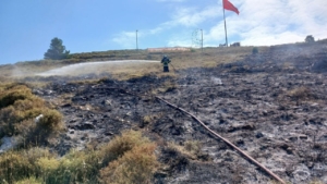 sinop-ada-mevkiinde-cikan-ortu-yangini-sonduruldu