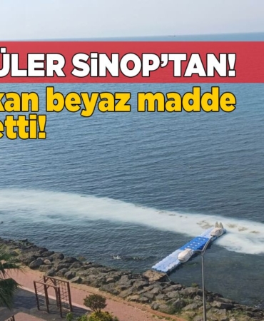sinopbeyazmadde