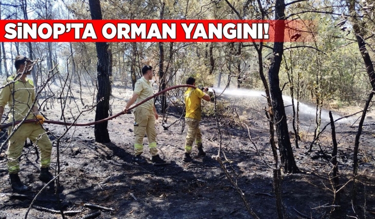 Sinop’ta orman yangını: 8 dönüm alan zarar gördü