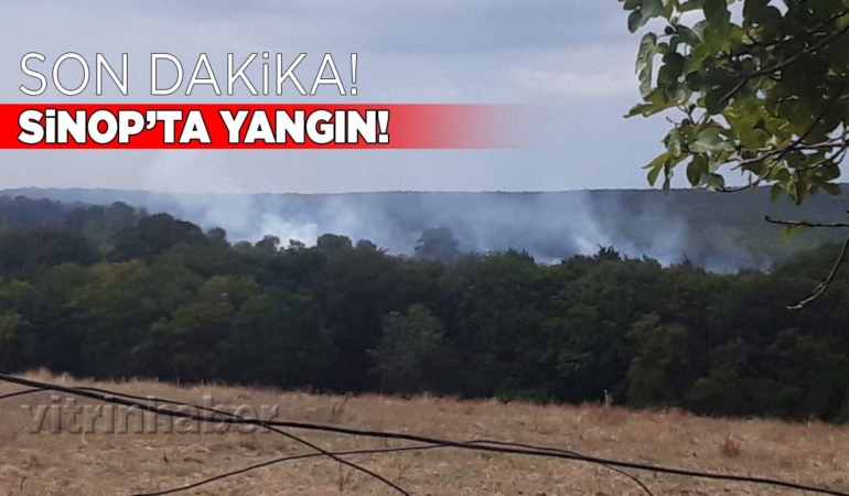 Sinop’ta ot yangını: Ekipler harekete geçti