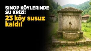 sinopsukrizi-1