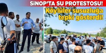 sinopsuprotesto