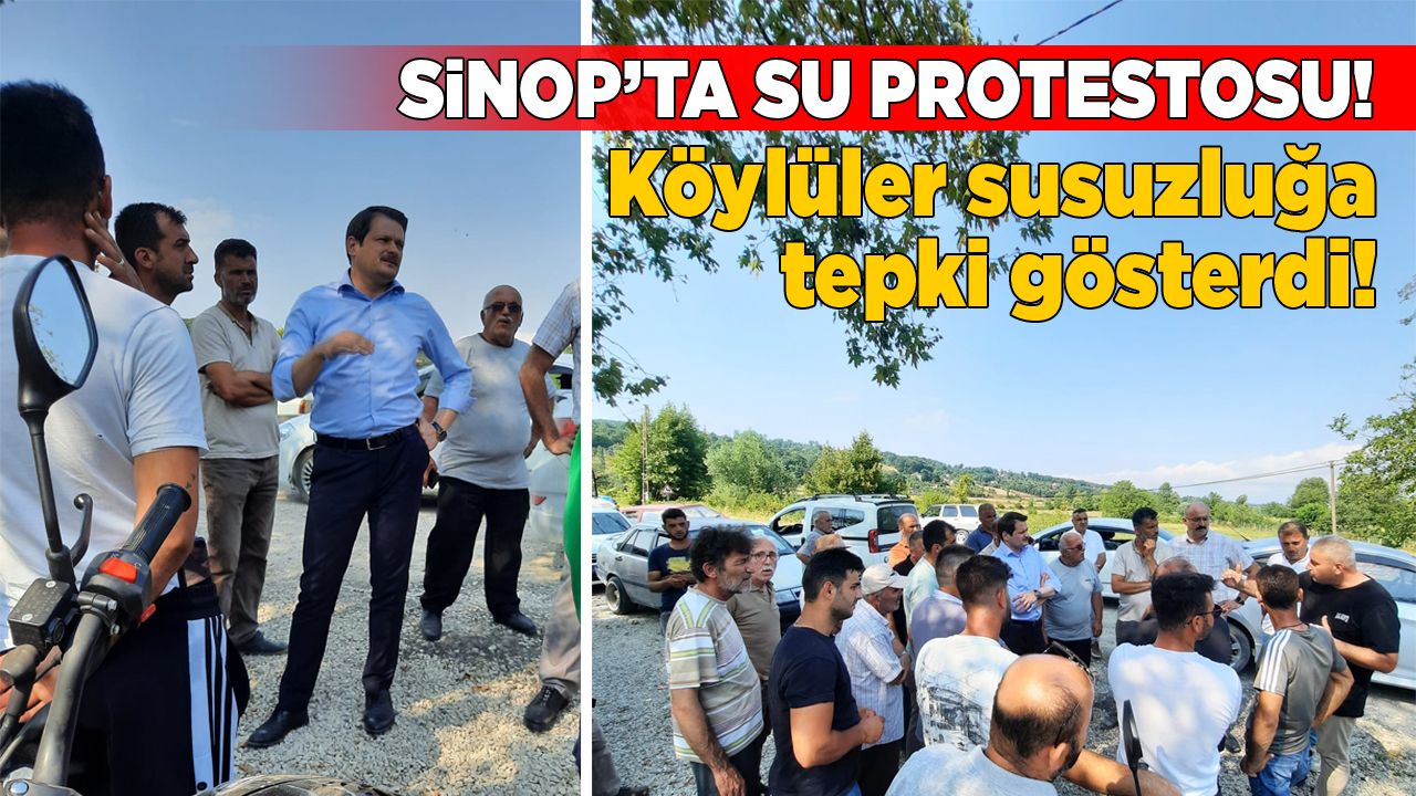 sinopsuprotesto