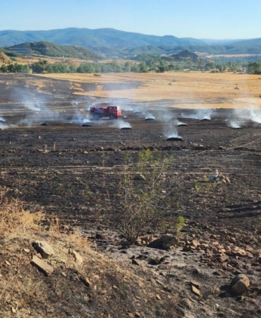 sinopta-aniz-yangini-60-balya-saman-yandi