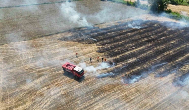Sinop’ta anız yangını paniğe yol açtı