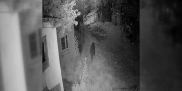 sinopta-bahceye-giren-ayi-kameraya-yakalandi