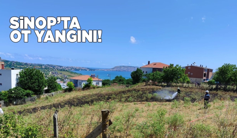 Sinop’ta arazi yangını