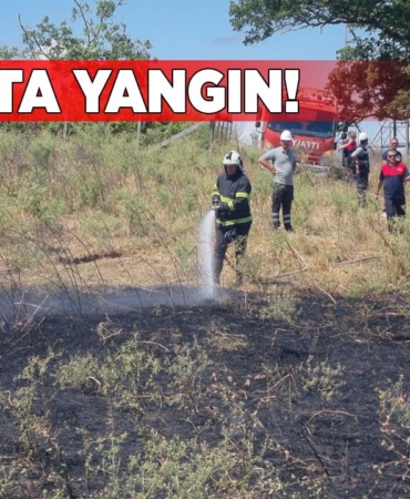 sinoptayangin
