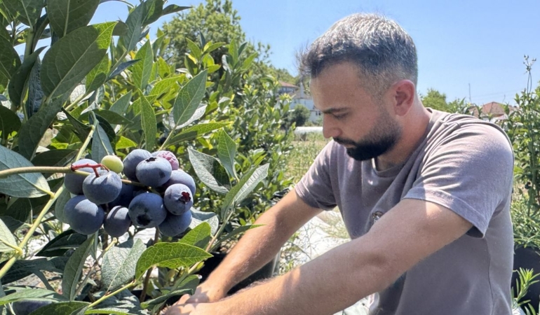 Tadından etkilendiği bitkinin üreticisi oldu