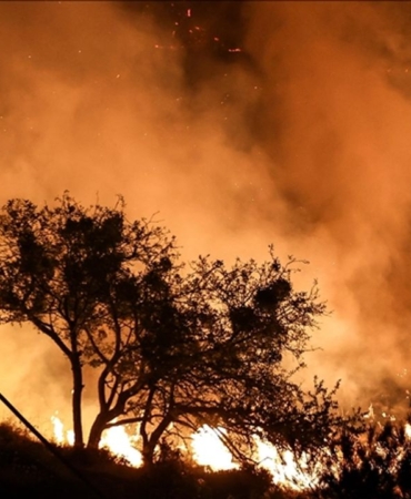 thumbs-b-c-b96933c984d1e7719b061b4578f89d8a