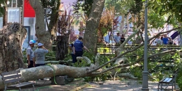 uzerine-agac-dali-dusen-genc-kiz-oldu