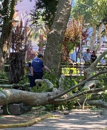uzerine-agac-dali-dusen-genc-kiz-oldu