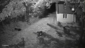 vlcsnap-2025-07-21-16h49m54s432