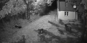 vlcsnap-2025-07-21-16h49m54s432