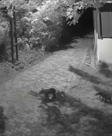 vlcsnap-2025-07-21-16h49m54s432