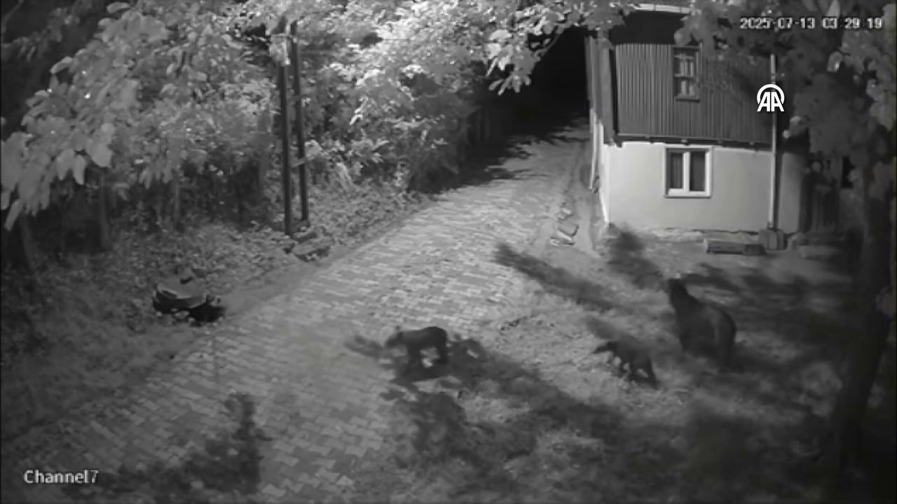 vlcsnap-2025-07-21-16h49m54s432