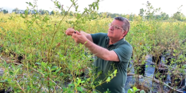 vlcsnap-2025-07-27-10h38m01s893