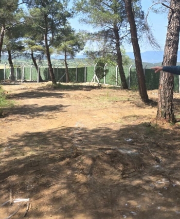 Boyabat Hayvan Barınağı projesinde sonra yaklaşıldı