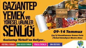 Türkeli'de Lezzet ve Kültür Şöleni başlıyor