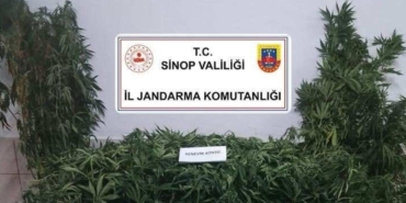 whatsapp-gorsel-2025-07-17-saat-092931-5174439d