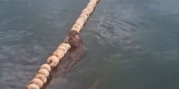 whatsapp-image-2025-07-05-at-124533-1