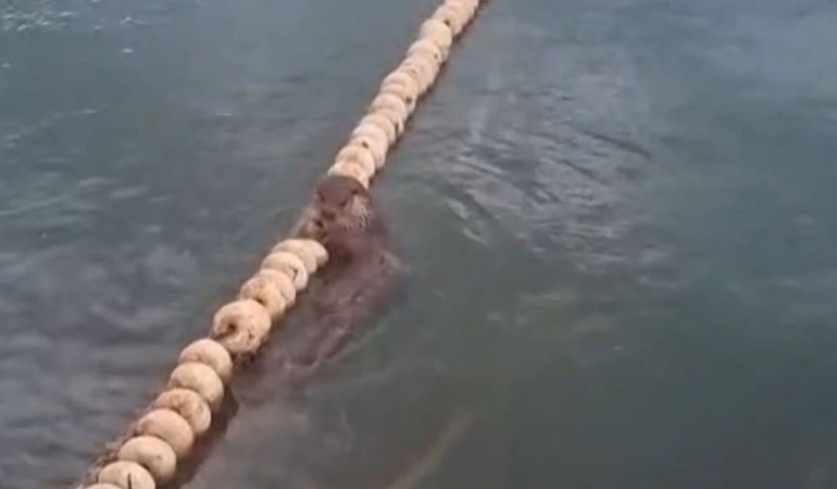 whatsapp-image-2025-07-05-at-124533-1