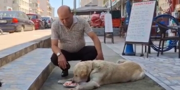 whatsapp-image-2025-07-05-at-130245-1