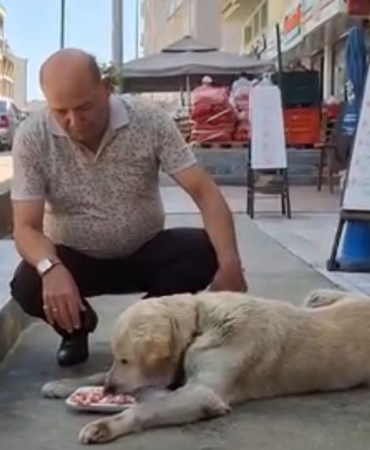 whatsapp-image-2025-07-05-at-130245-1