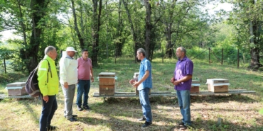 whatsapp-image-2025-07-11-at-141638