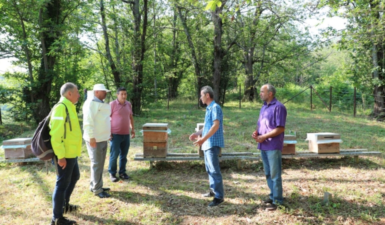 whatsapp-image-2025-07-11-at-141638