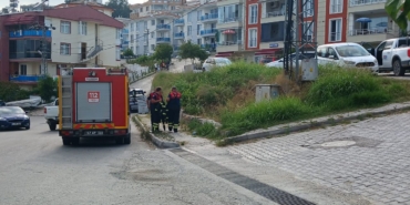 whatsapp-image-2025-07-29-at-171907