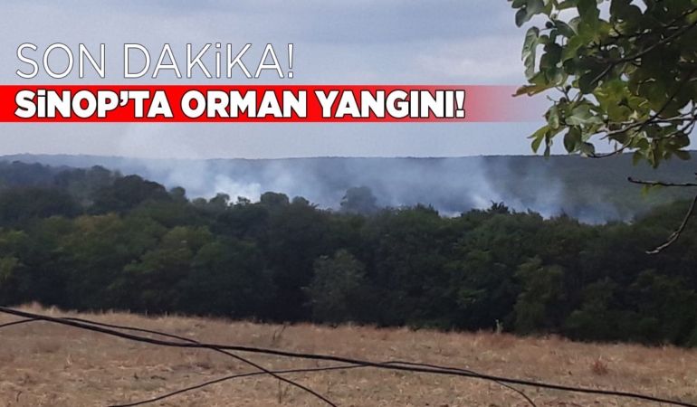 Sinop’ta orman yangını: Ekipler harekete geçti