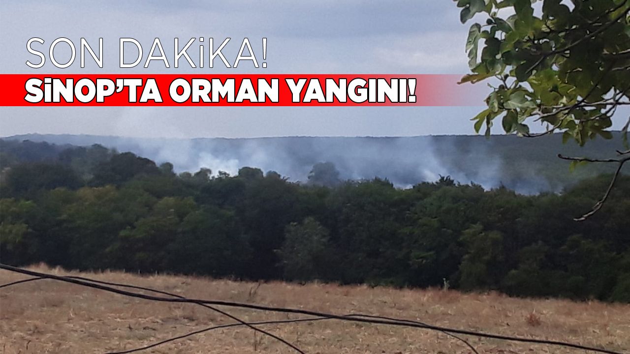 yangin-2