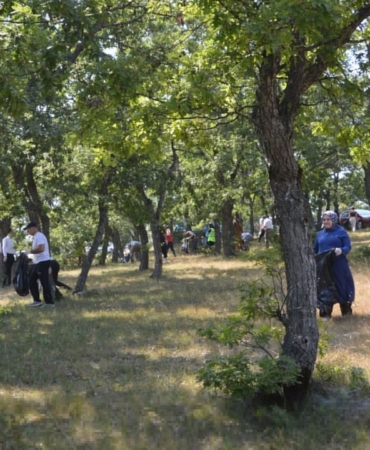 yangin-riskine-karsi-dogada-temizlik-yapildi