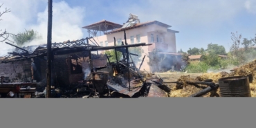 yanginda-7-buyukbas-hayvan-oldu