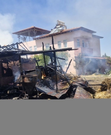 yanginda-7-buyukbas-hayvan-oldu