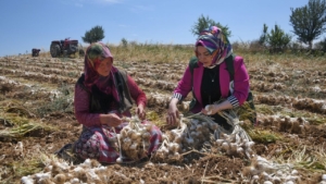 yesilay-tarlada-calisan-kadinlari-ziyaret-etti