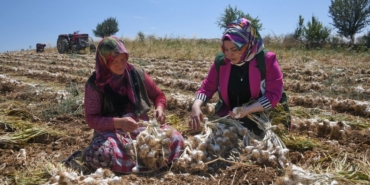 yesilay-tarlada-calisan-kadinlari-ziyaret-etti