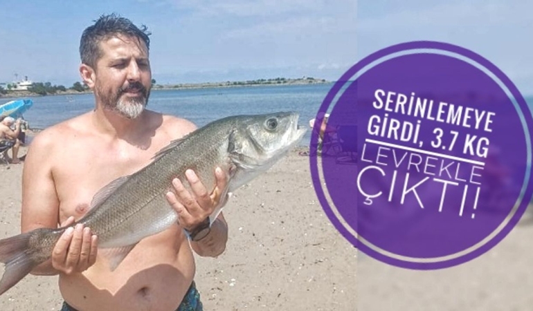 Serinlemeye girdi, çıplak elle 3.7 kiloluk levrek yakaladı!