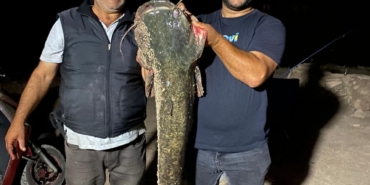 153-santimetre-uzunlugunda-yayin-baligi-avlandi